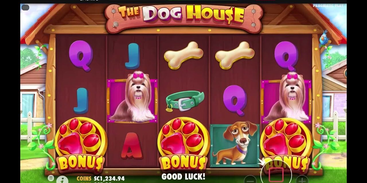 Chumba Sweepstakes Casino: The Dog House Amazing Run Win Watch the Entire video #bigwin