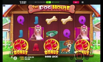 Chumba Sweepstakes Casino: The Dog House Amazing Run Win Watch the Entire video #bigwin
