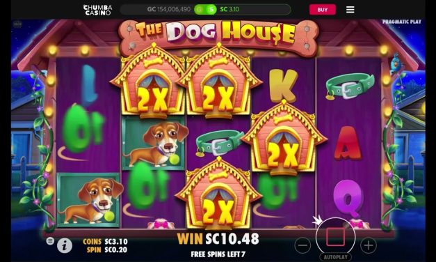 Chumba Sweepstakes Casino: The Dog House Big Win #onlinecasino #bigwin