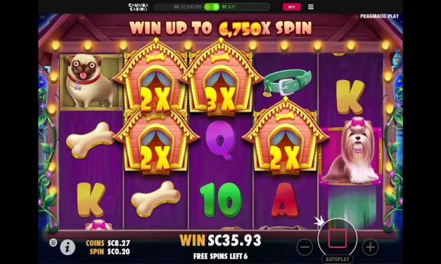 Chumba Sweepstakes Casino: The Dog House Big Win 1st spin bonus #chumbacasino #thedoghouseslot