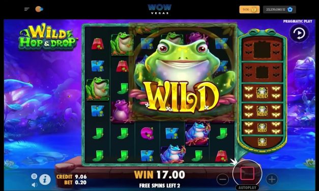 Wow Vegas Sweepstakes Casino: Wild Hop & Drop Big Win #onlinecasino #sweepstakes