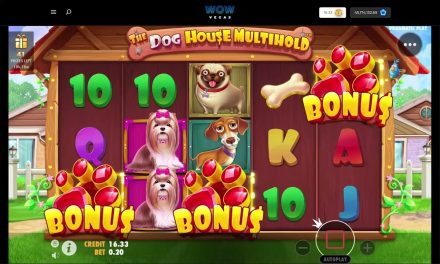 Wow Vegas Sweepstakes Casino: The Dog House Multihold Big Win #wowvegas #wow #thedoghouseslot