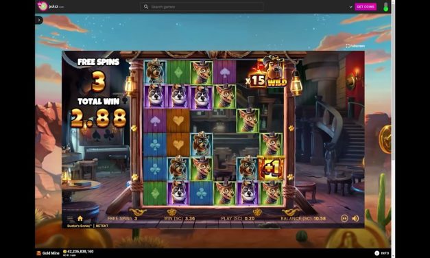 Pulsz Sweepstakes Casino: Busters Bones Big Win #onlinecasino #bigwin