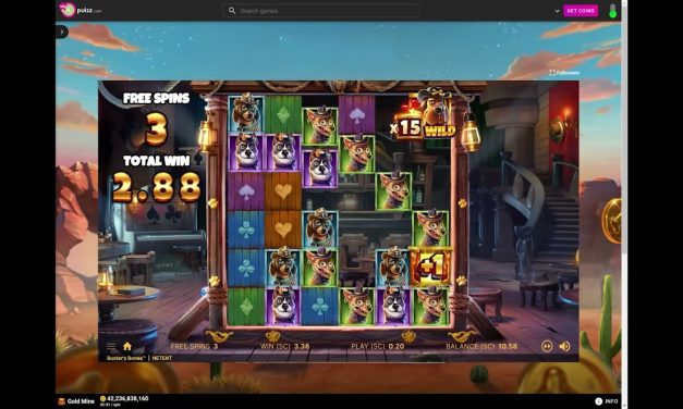Pulsz Sweepstakes Casino: Busters Bones Big Win #pulsz #onlinecasino