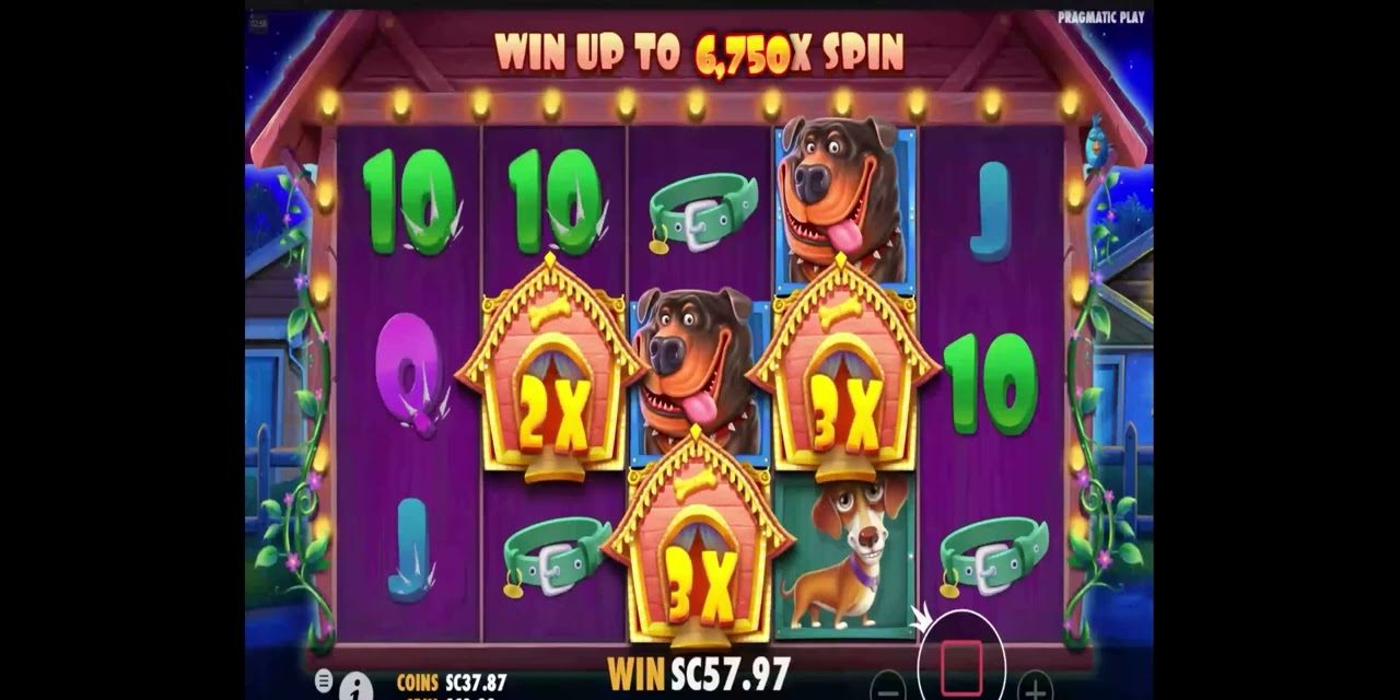 Chumba Sweepstakes Casino: The Dog House Big Win #chumbacasino #thedoghouseslot